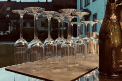 Foto-08.05.23-20-39-20